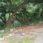 Arrecadação da taxa de limpeza cresce em Guarapari, mas população questiona situação das ruas